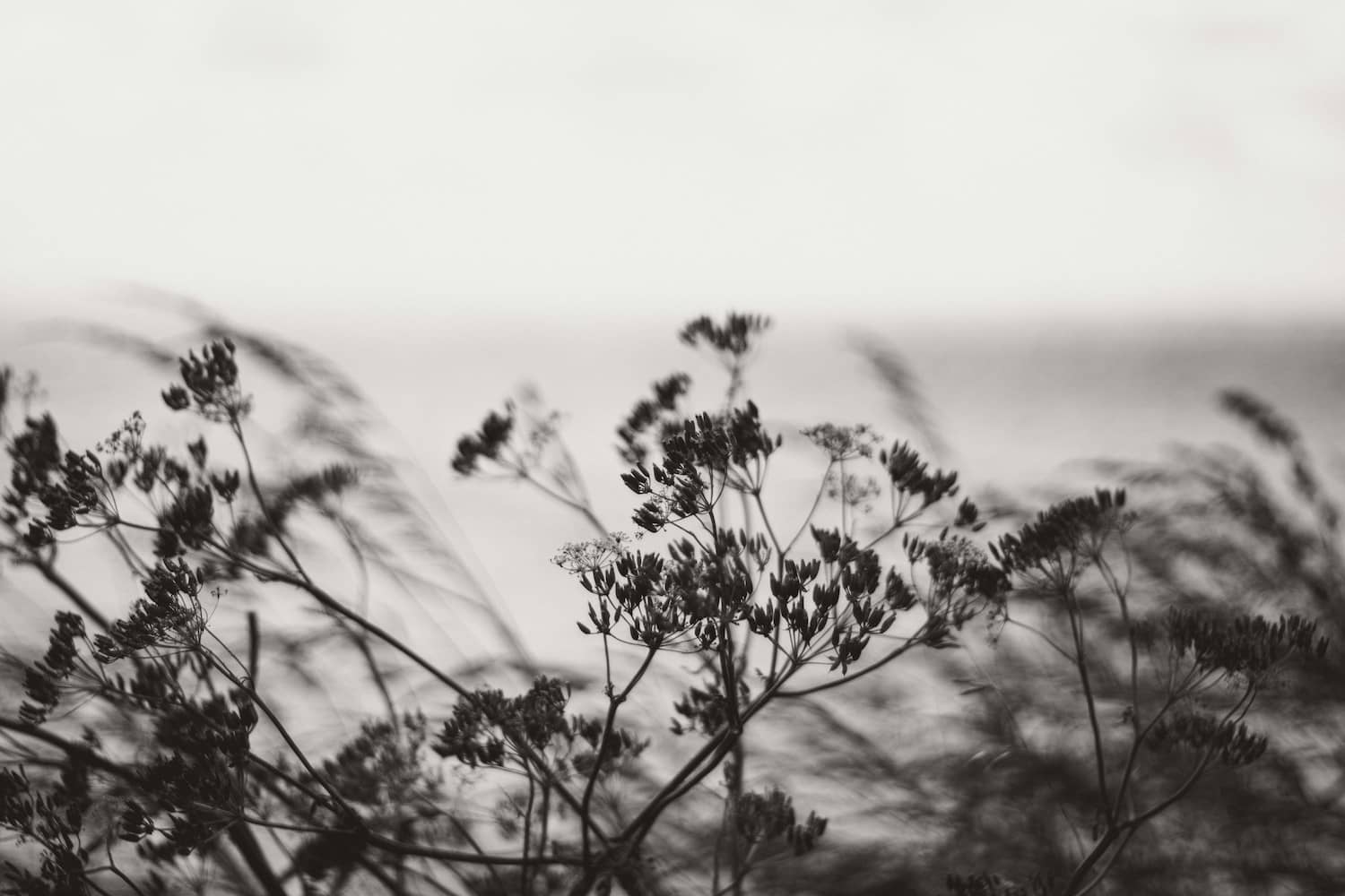 merri-j-HAmAifQYGus-unsplash