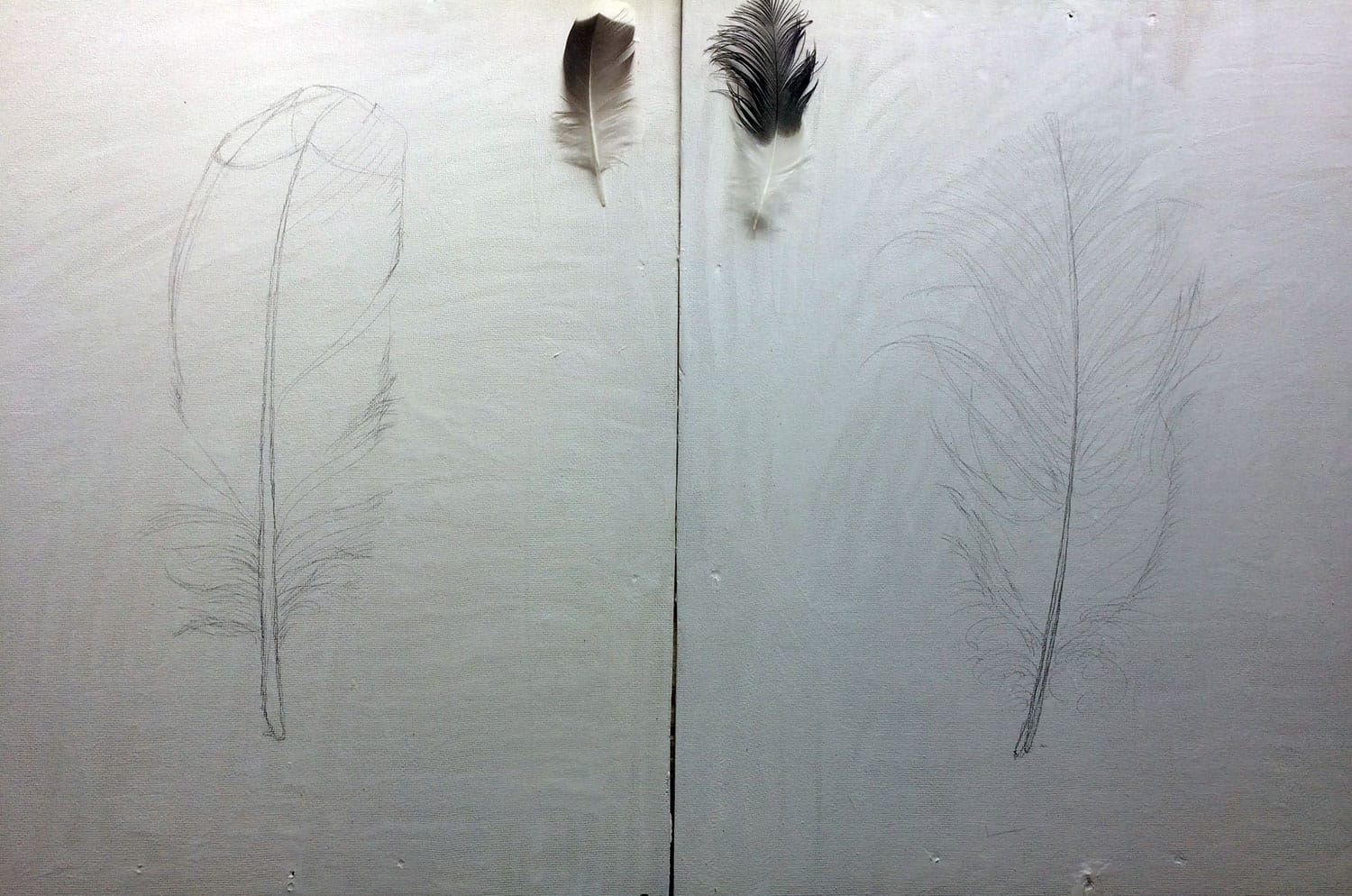 FeatherSketch