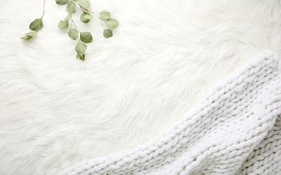 On brushing blankets and the value of anti-productivity in the new normal