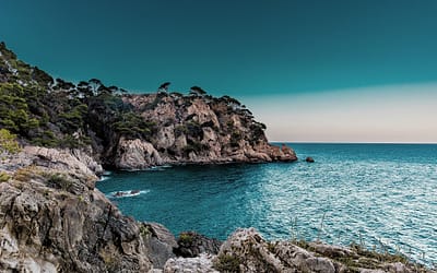 Meeting Pinetree-She | the feminine force at the edge of the acropolis