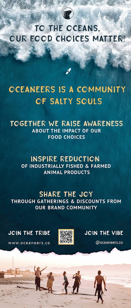 Oceaneers_Banner_FINAL_85x200_CMYK