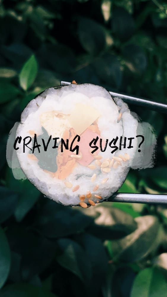 IG_STORIES_PLUSHI-V2.101