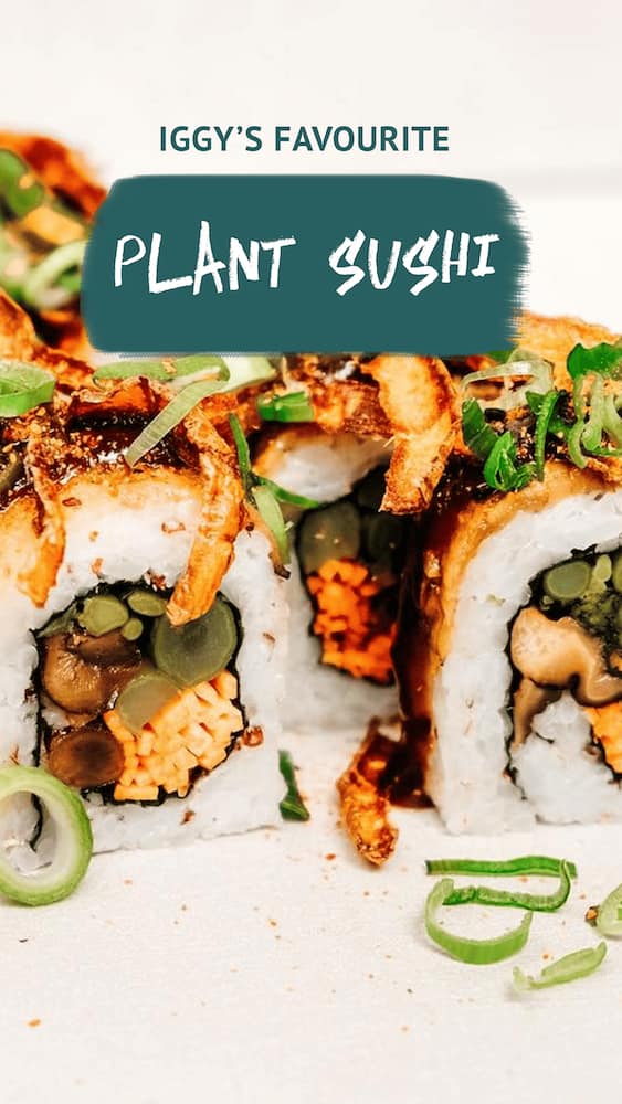 IG_STORIES_PLUSHI-V2.104