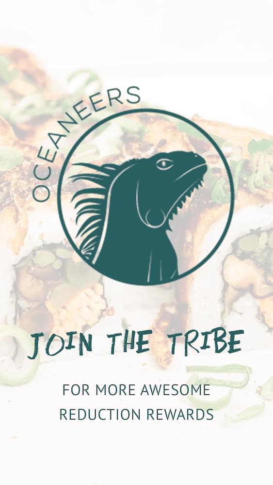 IG_STORIES_PLUSHI-V2.105