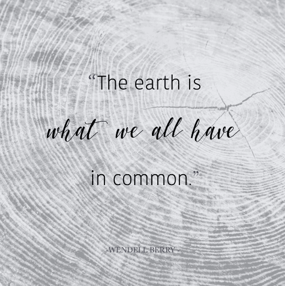 MiniNature Social Media Tiles Design Portfolio5