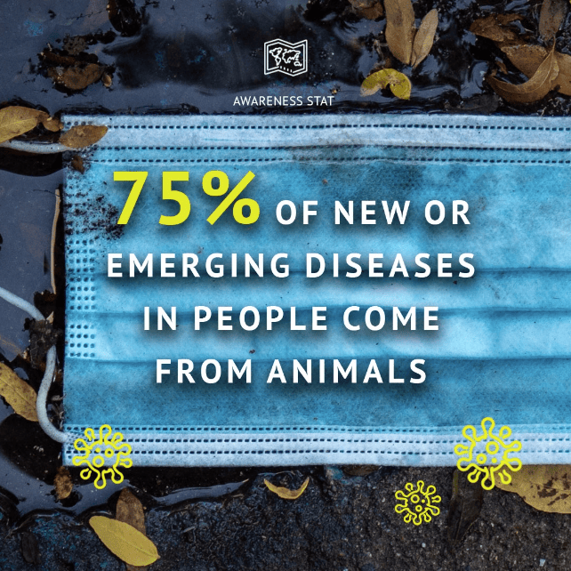 Oceaneers Instagram Tile Design Zoonotic Diseases