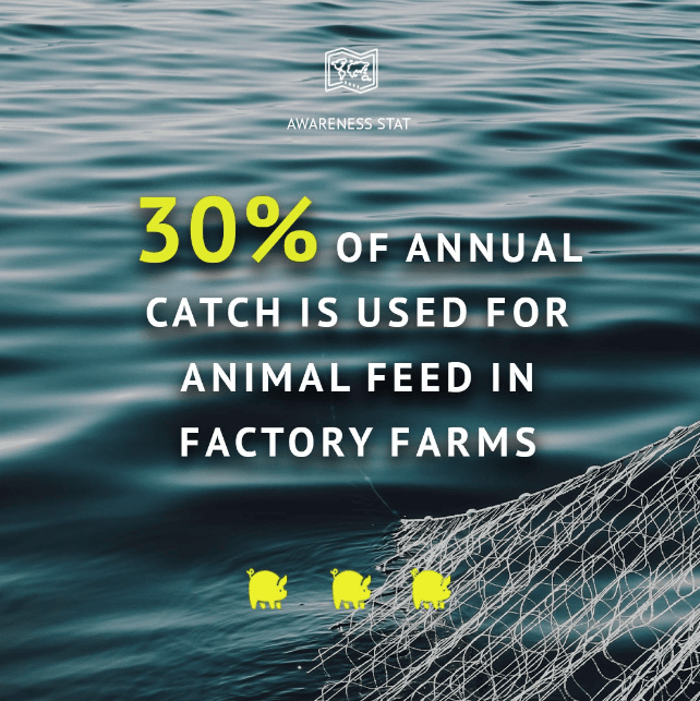 Oceaneers Instagram Tile Design Fishing