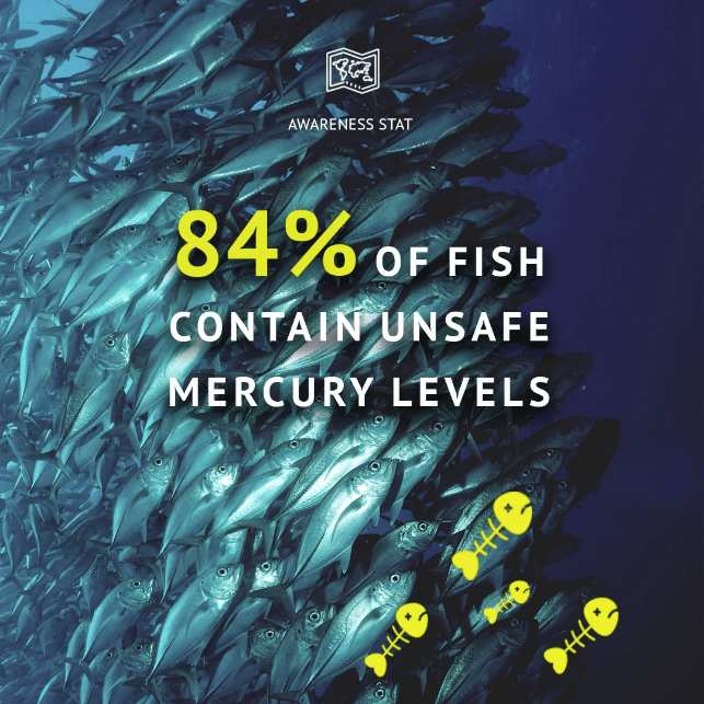 Oceaneers Instagram Tile Design BiCatch